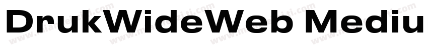 DrukWideWeb MediumIt字体转换